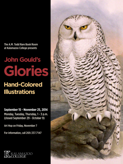 John Gould's Glories: Hand-Colored Illustrations poster 24"x32"